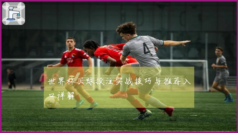 世界杯买球投注实战技巧与推荐入口详解