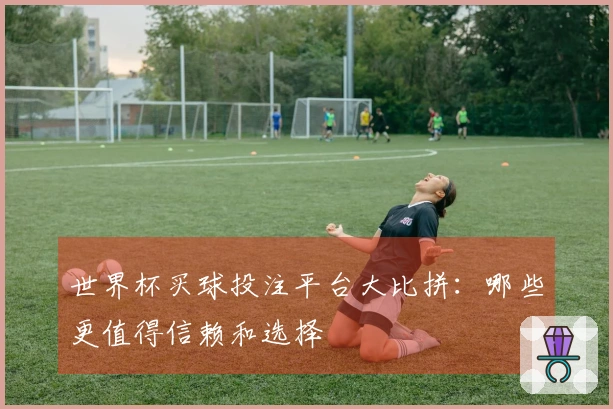 世界杯买球投注平台大比拼：哪些更值得信赖和选择