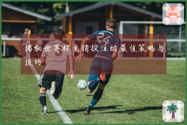 揭秘世界杯竞猜投注的最佳策略与技巧