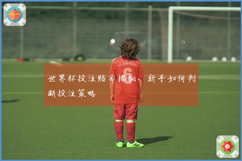 世界杯投注赔率揭秘，新手如何判断投注策略