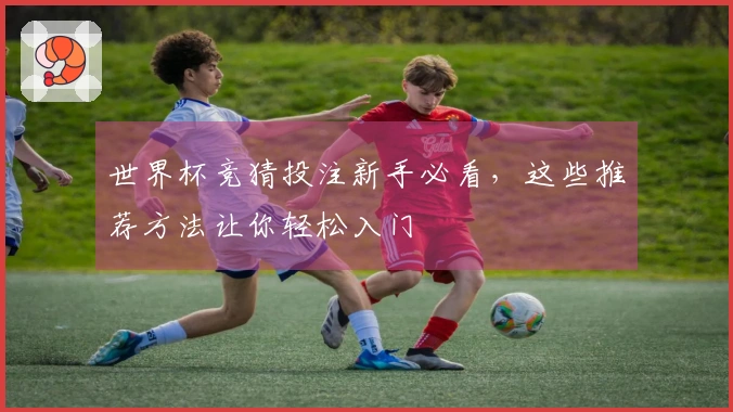 世界杯竞猜投注新手必看，这些推荐方法让你轻松入门