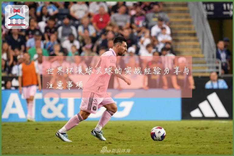 世界杯滚球买球的实战经验分享与注意事项