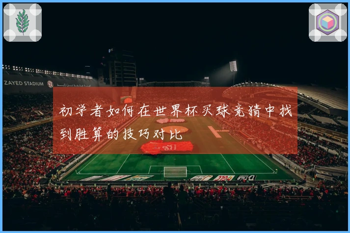 初学者如何在世界杯买球竞猜中找到胜算的技巧对比