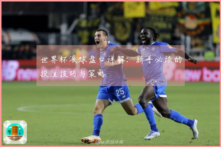 世界杯滚球盘口详解：新手必读的投注技巧与策略