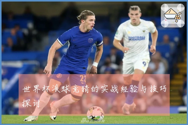 世界杯滚球竞猜的实战经验与技巧探讨