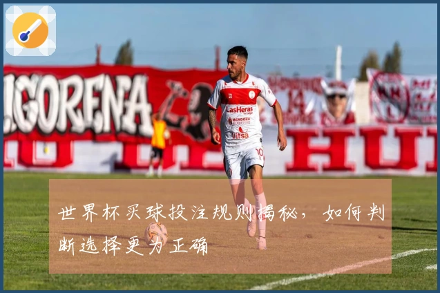世界杯买球投注规则揭秘，如何判断选择更为正确