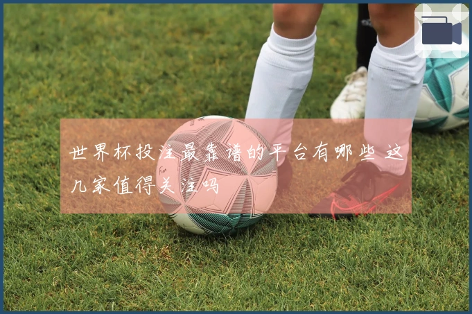 世界杯投注最靠谱的平台有哪些 这几家值得关注吗