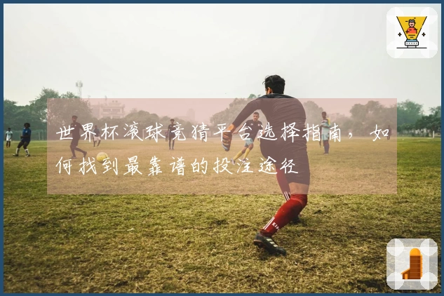 世界杯滚球竞猜平台选择指南，如何找到最靠谱的投注途径