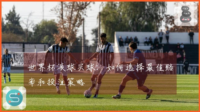 世界杯滚球买球：如何选择最佳赔率和投注策略