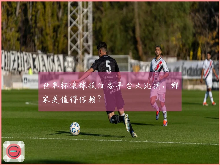 世界杯滚球投注各平台大比拼，哪家更值得信赖？