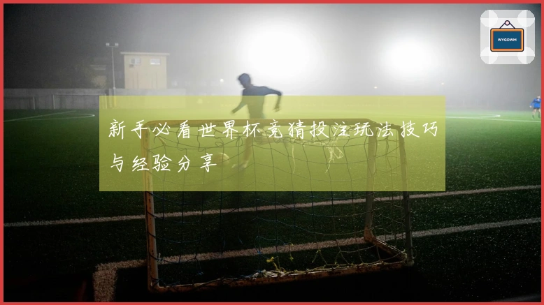 新手必看世界杯竞猜投注玩法技巧与经验分享