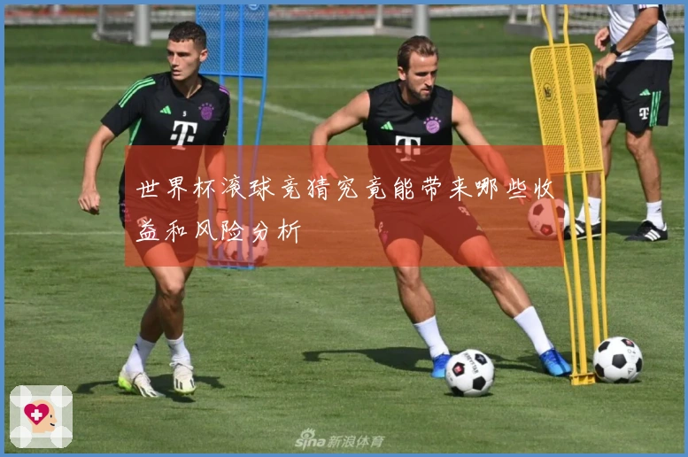 世界杯滚球竞猜究竟能带来哪些收益和风险分析