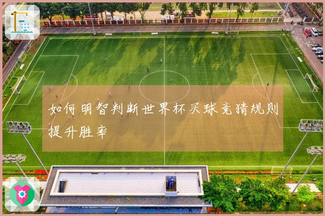 如何明智判断世界杯买球竞猜规则提升胜率