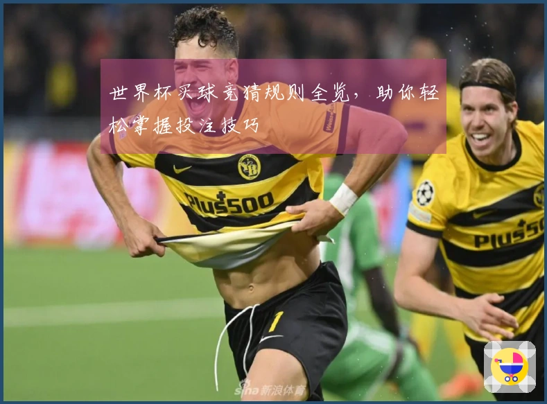 世界杯买球竞猜规则全览，助你轻松掌握投注技巧
