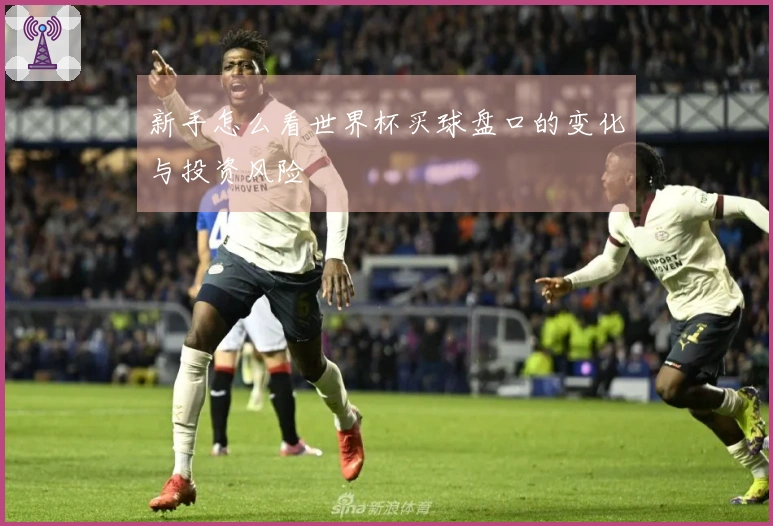 新手怎么看世界杯买球盘口的变化与投资风险