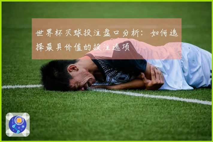 世界杯买球投注盘口分析：如何选择最具价值的投注选项