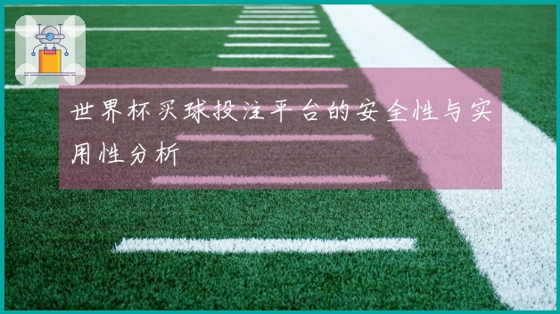 世界杯买球投注平台的安全性与实用性分析
